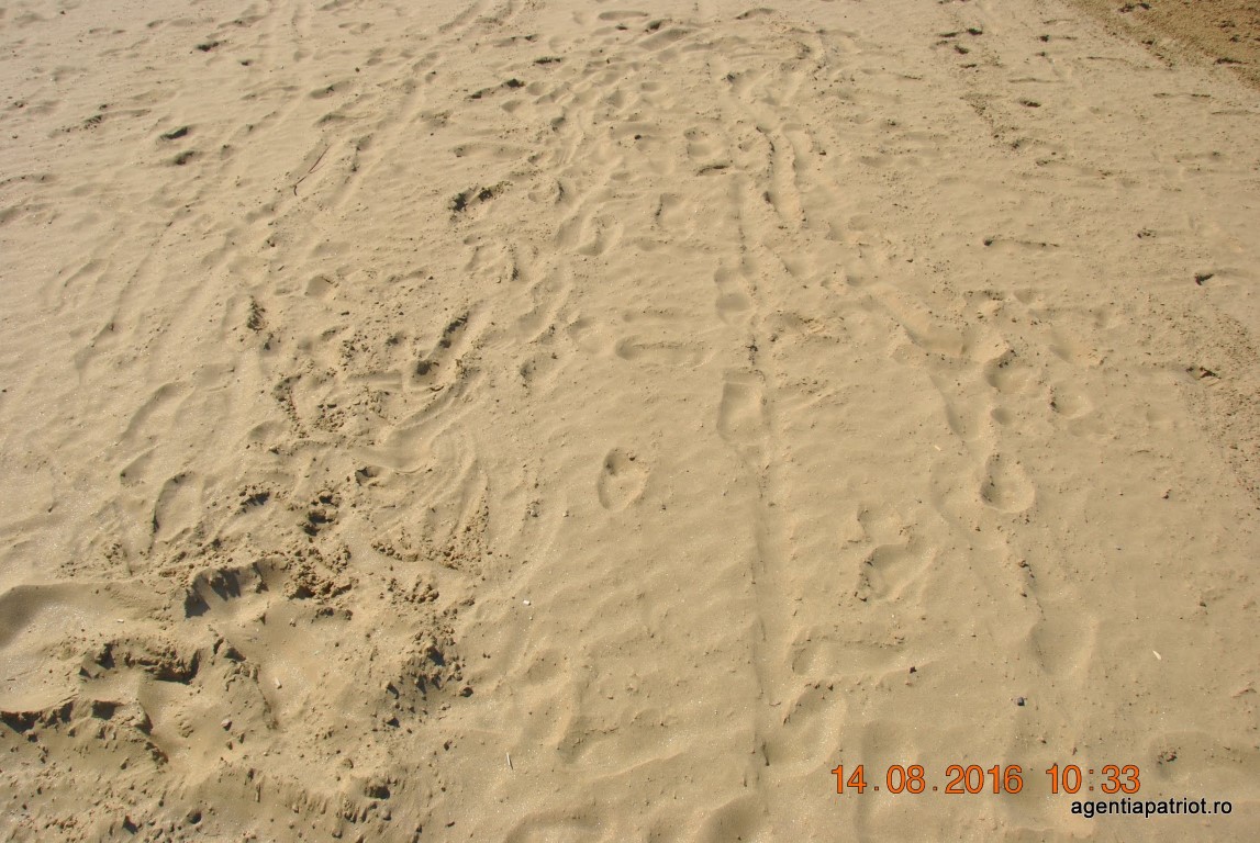 imagini hotel PALM WINGS EPHESUS